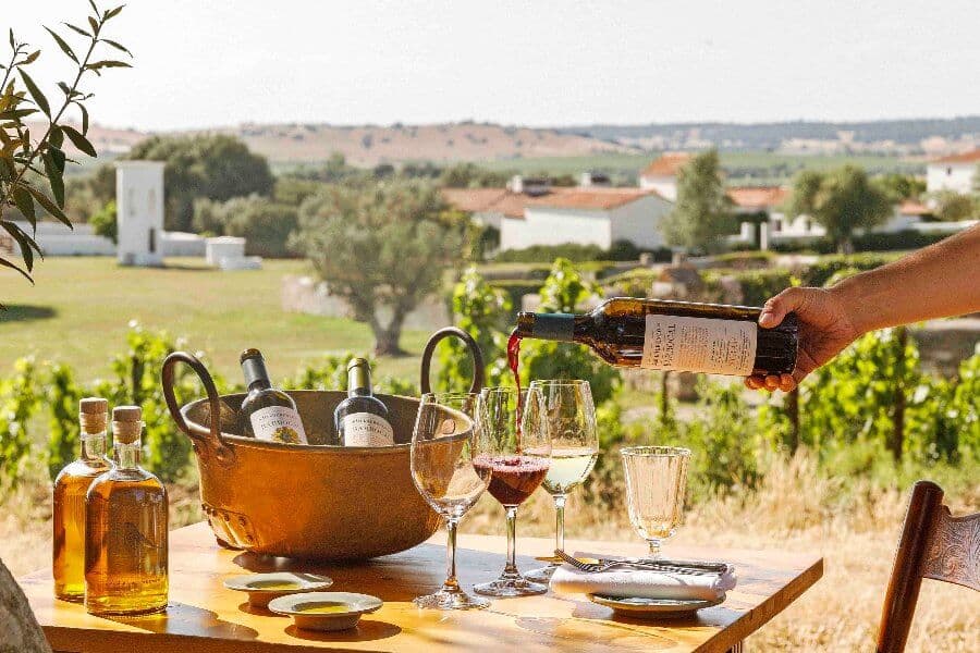 Wine Tasting Vineyards